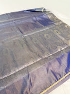 Blue Tissue Banarsi Saree with zari border | Blue