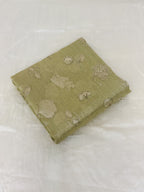Sage Green Tissue Banarsi Saree with zari border | Sage Green | Wedding collection